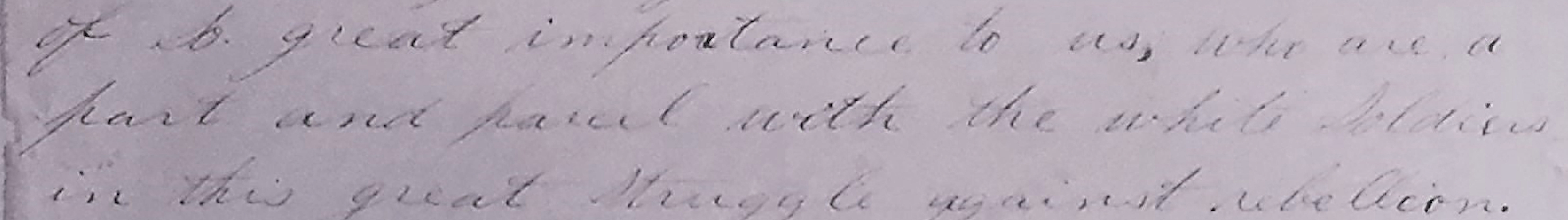 <em> “…who are part and parcel of the white soldier in this great struggle against rebellion” </em> <strong>Here the petitioners suggest that African Americans viewed themselves as stakeholders in the Civil War and recognized the part they played in aiding the Union.</strong>